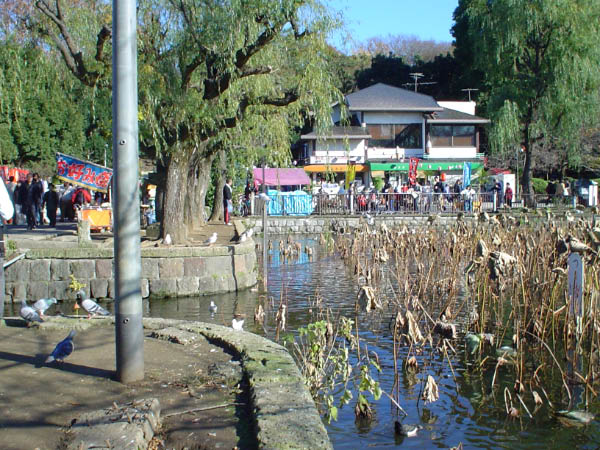 Shinobasu Pond2